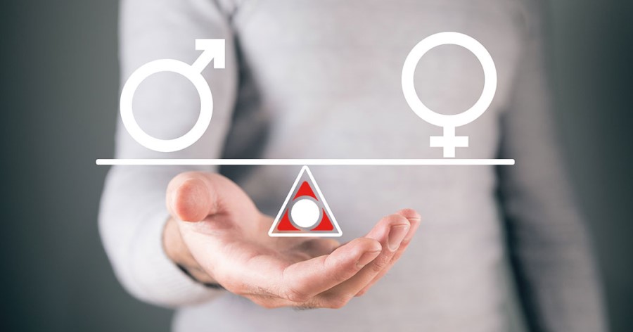 gender equality certification